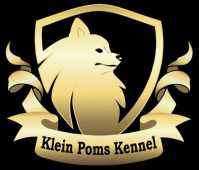 Klein Poms 